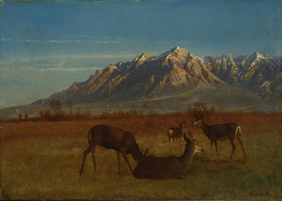 Deer in Mountain Home by Albert Bierstadt